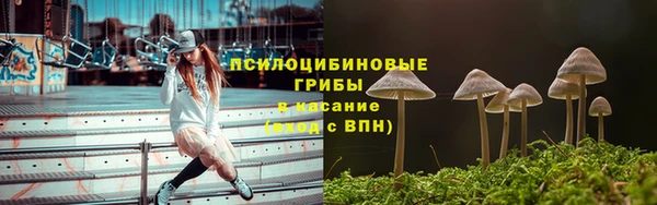 винт Армянск