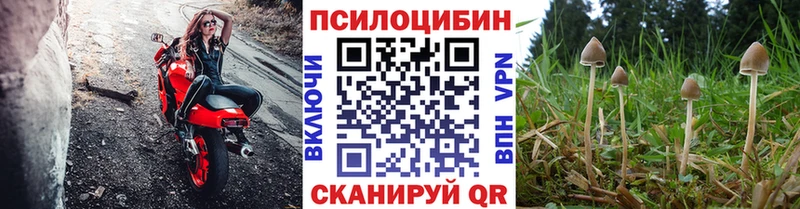 сайты даркнета наркотические препараты  Тында  Псилоцибиновые грибы прущие грибы 