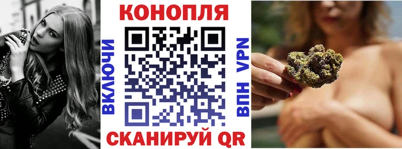 Бошки Шишки SATIVA & INDICA  купить закладку  Тында 